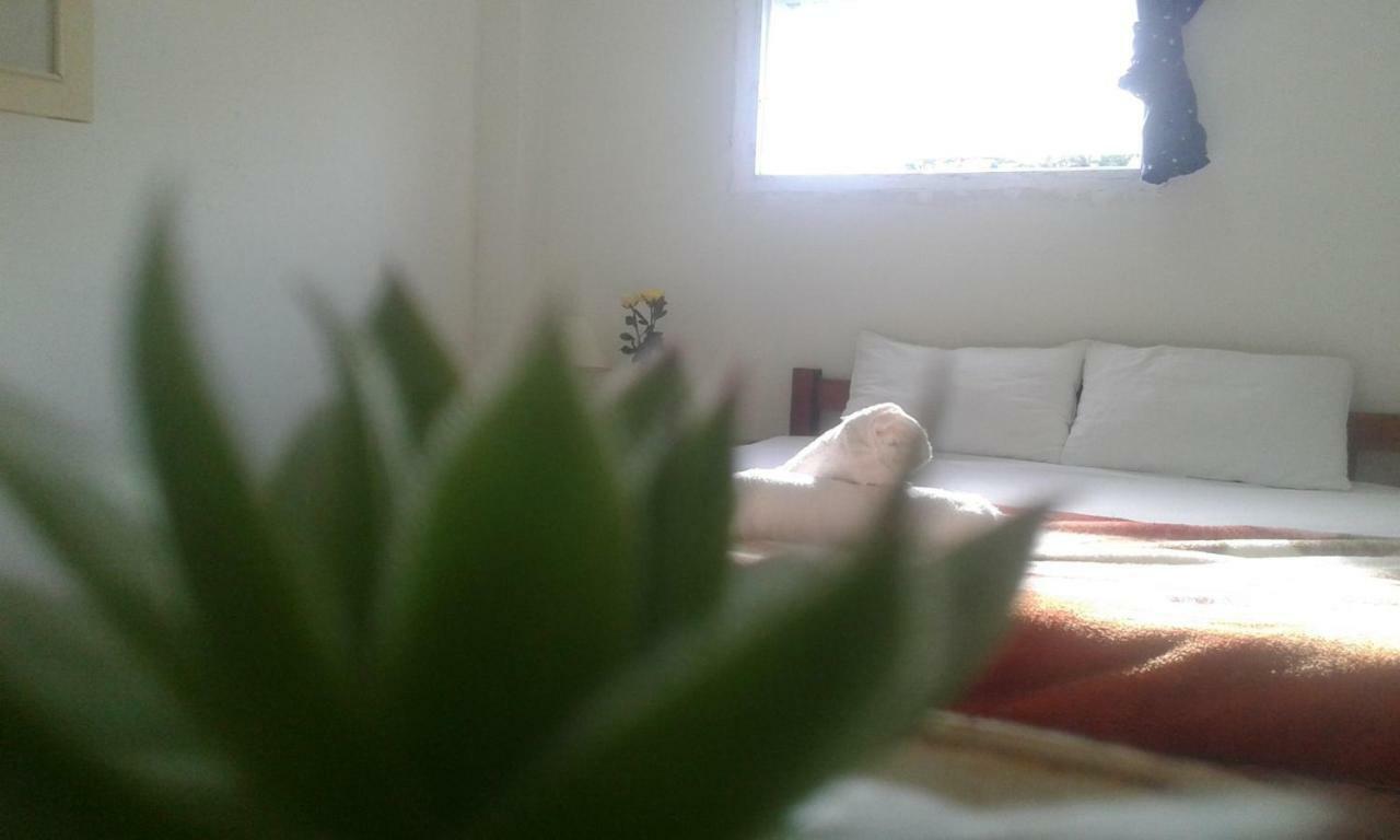 Katie Guesthouse Đà Lạt Ngoại thất bức ảnh